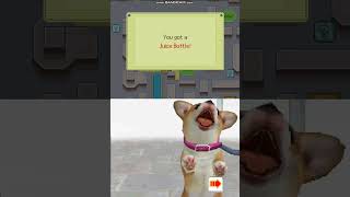 Nintendogs: Lab and Friends Part 2 (Pixelys' Version)