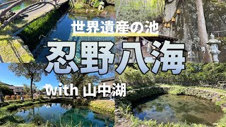 【実況Vlog】独身男たちが忍野八海の「世界遺産に登録された池」の美しさに驚愕！山中湖＆石割神社で自然を堪能する大人旅