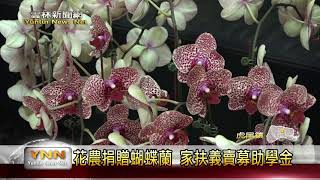 雲林新聞網-虎尾家扶義賣花農捐贈蝴蝶蘭