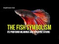 Fish Symbolism: Meanings And Interpretations