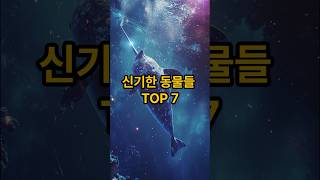 신기한 동물 TOP 7