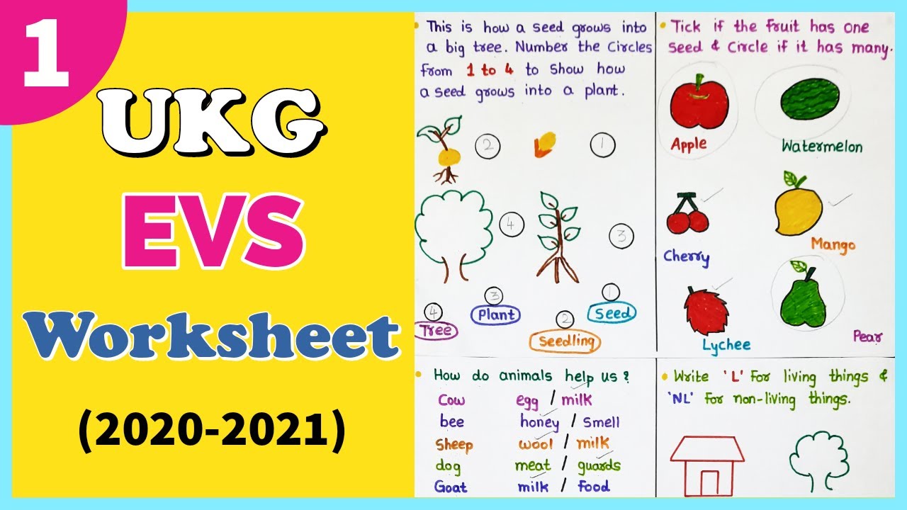 Ukg Evs Interactive Worksheet Evs Online Worksheet For Ukg Aniyah