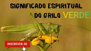 Significado Espiritual, Simbologia do Grilo #espiritualidade#grilo#mensageiroespiritual #simbologia