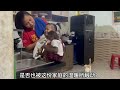 小猴子跟小女孩玩躲猫猫游戏，躲进了衣柜里面，让妈妈寻找她们