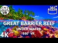 Australia Great Barrier Coral Reef Underwater Paradise in 360 VR - Virtual Reality (4K Stereoscopic)