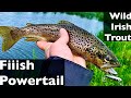 The Fiiish Powertail never seems to fail when spinning for these wild Irish river trout