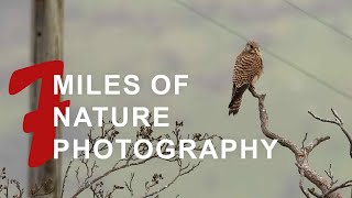 7 miles of nature In the Ribble Valley of Lancashire