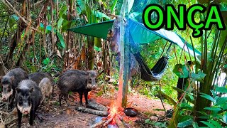 Acampamento em uma mata SINISTRA a ONÇA PINTADA estava me observando quase não dormi.