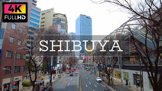 【4K】Take a walk from Harajuku to Shibuya on holidays. | 東京 原宿から竹下通り、キャットストリートを通って渋谷まで散歩 (Feb. 2022)