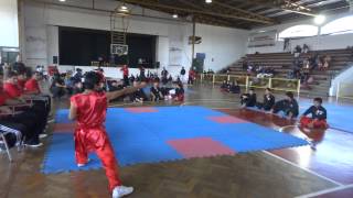 Diego Uribe. NanQuan ChuJi. Wushu Chile