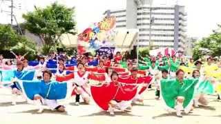 長崎県立大学リズム戦隊メロディアス 玉名温泉夢祭り2015