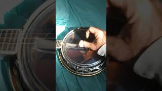 Mandolin banjo for sale on ebay