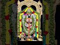 🌺Om Namo Venkatesaya🌺#balajisongs #Tirupati#Tirupathibalaji#govindasongs#shorts#trending#govinda