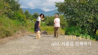 [쑤기네 세모집] 시골길 산책 vlog