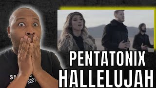 Incredible!! First Time Hearing | Pentatonix - Hallelujah Reaction