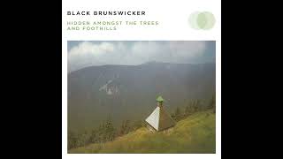 Black Brunswicker - Hidden Amongst the Trees and Foothills (2019)