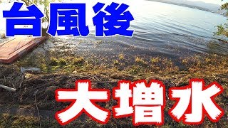 台風後の大増水した琵琶湖で巻物！【バス釣り】