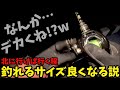 北に行けば行く程サイズ良いの釣れる説！【ナイトロック】