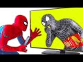 SPIDER-MAN (In Real Life) vs VENOM (In Television) | Comedy Funny Video