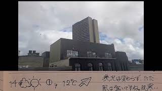 【株くんお天気日記24】積雲・雄大積雲・層積雲が交互に通過し、風もやや強い