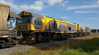 TasRail TR15 TR11 #46 Coal train passing through Longford