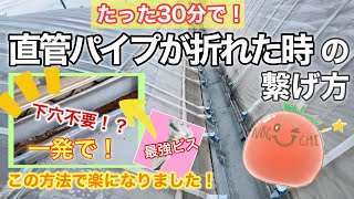 ビニールハウスのパイプが折れても大丈夫！１７年目ハウストマト農家が直管パイプの折れた時の対処法と折れにくくするためのパッカーの付け方を解説！少ない手間で素人でも簡単に直管パイプの補修ができます！