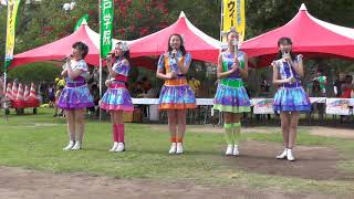 20190616　YENA☆　「ピップウィッピー」　時のウィーク　明石公園西芝生広場