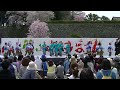 08丹波篠山楽空間　20170416　篠山よさこいまつり　メイン会場