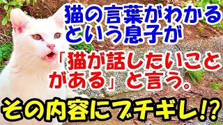 猫の言葉がわかるという息子が「猫が話したいことがある」と言う。その内容にブチギレ!?【猫の不思議な話】【朗読】