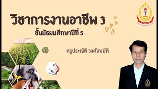 วิชาการงานอาชีพ3 ม.5 เรื่อง การถนอมอาหารด้วยวิธีการใช้ความร้อน