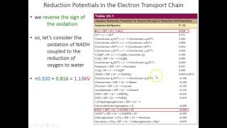 Lecture 15B - Electron Reduction Potentials