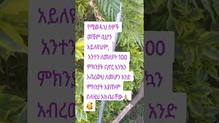 የሚወዱህ ስዎች መቼም ቢሆን አይለዩህም አንተን ለመለየት 100 ምክንያት ቢኖር እንኳን አብረውህ ለመሆን አንድ ምክንያት አያጡምስለዚህ አክብራቸው #habesha