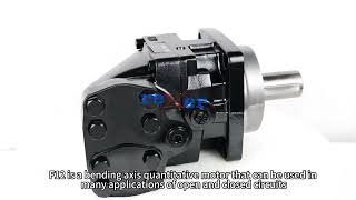 F12 Parker Axial Piston Fixed Motors