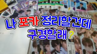 [모아로그] 내 자산인 포카정리 / 바인더 추천 / 포카누락 / 다이소opp / 준등기깡 / 택배깡 / VLOG / 투바투 / 비온뒤바인더