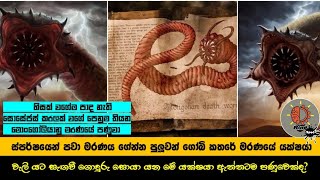 ස්පර්ෂයෙන් පවා මරණය ගෙන එන ගෝබි කතරේ යෝධ පනුවා - MindSpot