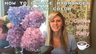 Gardening Hacks | How to Change Hydrangea Flower Color