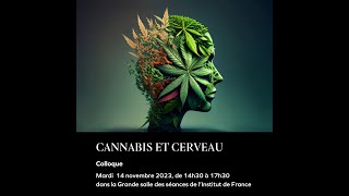 [Conférence-débat] Cannabis et cerveau