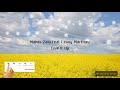 Maher Zain - Live It Up feat. Lenny Martinez | Lyrics