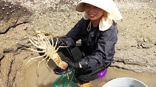 6只鸡鸭内脏投2米深天井坑打窝，抽干全是好货，真的海鲜大聚会