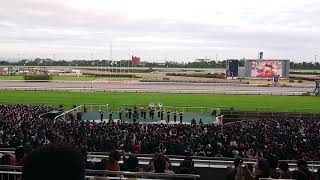 チャンピオンズカップ 2022  G1ファンファーレ  中京競馬場 現地  陸上自衛隊