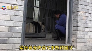 姜爷爷多年前在中国的时候特意去看了乐宝的外公大熊猫盼盼，那时候盼盼31岁了，相当于人类的100岁老人。