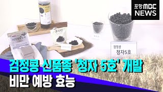 검정콩 신품종 '청자 5호' 개발‥비만 예방 효능 (2021.05.17/뉴스투데이/포항MBC)