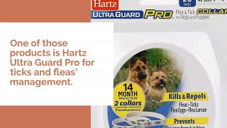 Hartz Ultra Guard Pro Review – All You Need To Know | petsmatters.net