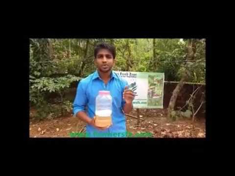 neemoil emulsion neemoil emulsion