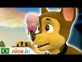 Patrulha Canina | Hora dos filhotes! - parte 3 | Nick Jr. em Português