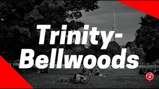Trinity-Bellwoods: Neighbourhood Profile | TORONTO