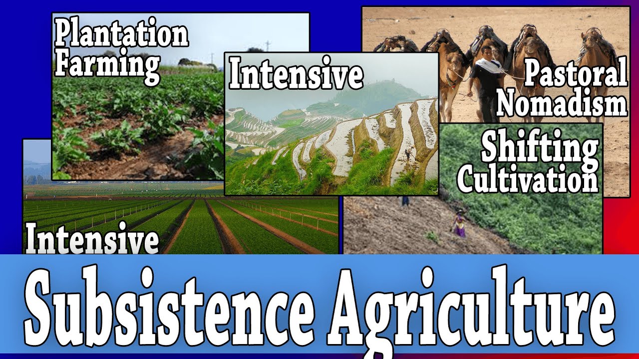 Subsistence Farming Agriculture Britannicacom