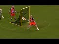 FULL FIELD LACROSSE GOALIE GOAL