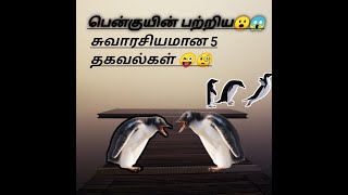 பென்குயின் பற்றிய  சுவாரஸ்யமான தகவல்கள் /SCIENCE  / one day science/penguins/first video