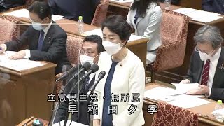 衆議院 2021年02月08日 予算委員会 #07 早稲田夕季（立憲民主党・無所属）